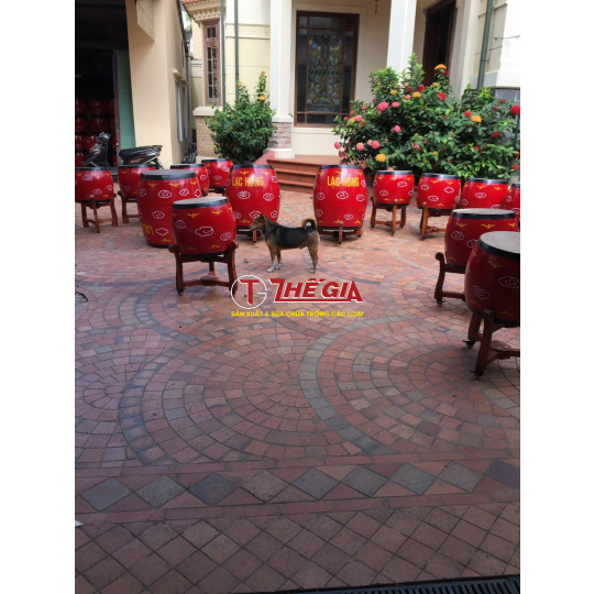 Trống Dân Tộc -Thế Gia